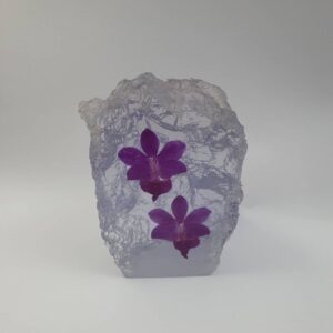 Reisin Show 2 orchid