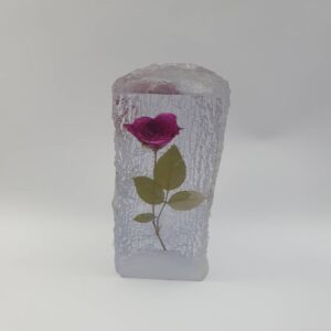 Reisin Show  Rose (10cm)