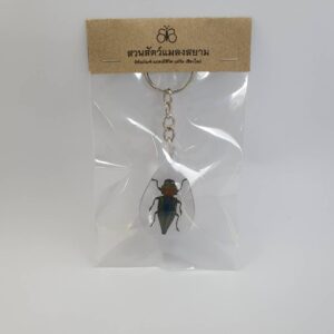 Key Chain Javanica L