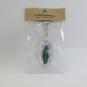 Key Chain Rajah