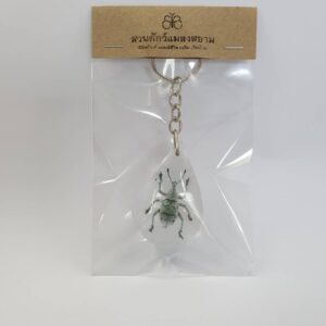 Key Chain Weaver (Weevil)