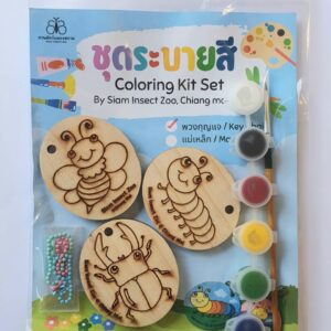 ชุดระบายสีพวงกุญแจไม้ 3 ชิ้น