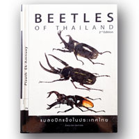 Beetle of Thailand