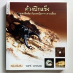 ด้วงปีกแข็ง แมลงลึกลับ กับเทคนิคการเพาะเลี้ยง